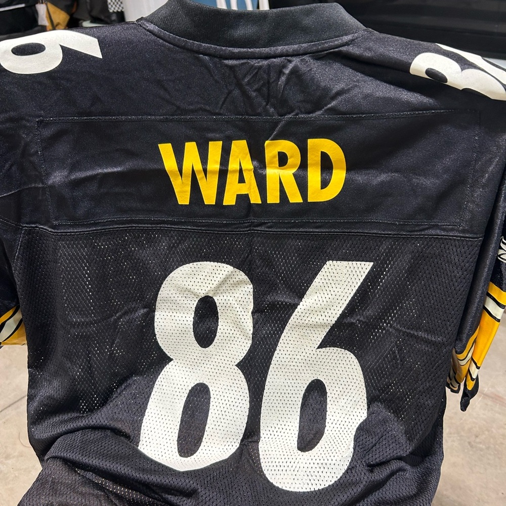 Vintage Hines Ward Jersey